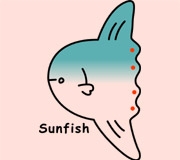 Sunfish