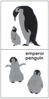 皇帝ペンギン（B＆S）